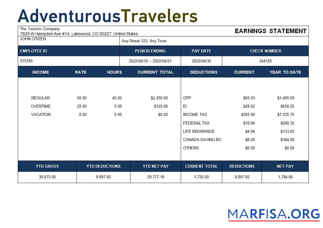 Blank Tourism company paystub template